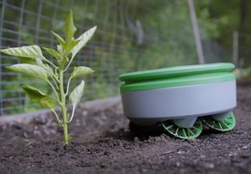 Photo Robotický záhradník Tertill dokáže plieť burinu v záhonoch