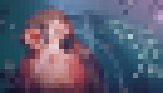 Photo Umelá sietnica umožní obnovu zraku