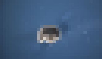 Photo Úplne nová forma existencie: Xenobot je živý, programovateľný organizmus