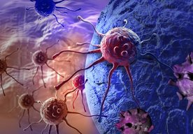 Photo Objav v oblasti imunológie by mohol umožniť liečbu každého druhu rakoviny