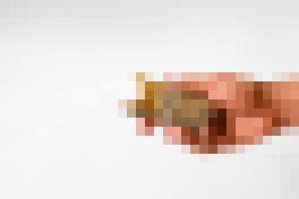 Photo Kombucha by mohla vyriešiť celosvetový problém s plastovým odpadom