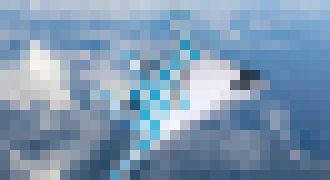 Photo Takto budeme možno lietať v budúcnosti. Airbus predstavil model Maveric