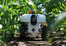 Photo Autonómne roboty pomáhajú šľachtiteľom vytvárať plodiny budúcnosti