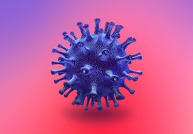 Photo USA: Slnečné žiarenie môže koronavírus rýchlo zničiť