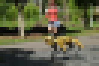 Photo Robotický pes Spot bude kontrolovať, či ľudia dodržiavajú sociálny odstup