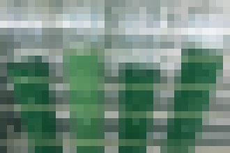 Photo Hacknuté sinice môžu fotosyntézou vyrábať vodík ako palivo