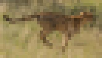 Photo Nové roboty dokážu šprintovať rýchlejšie ako gepard