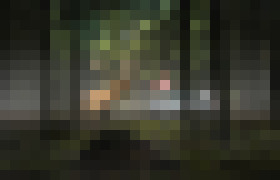 Photo Ako zabrániť zrážke so zverou? Pomôžu najmodernejšie asistenčné systémy a hlavne obozretnosť vodičov 