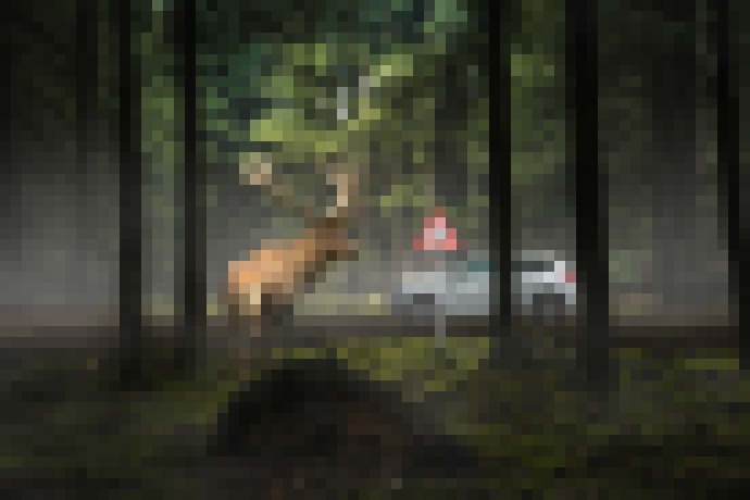 Photo Ako zabrániť zrážke so zverou? Pomôžu najmodernejšie asistenčné systémy a hlavne obozretnosť vodičov 