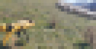 Photo Video: Robotický pes stráži stádo oviec ako profík