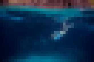 Photo Aj naša planéta si zaslúži byť fit