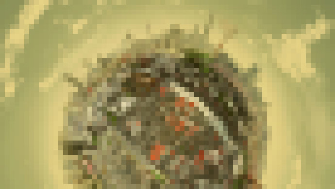 Photo Netradičné projekty na odstraňovanie emisií uhlíka