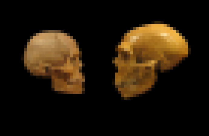 Photo Superpočítač odhalil príčinu vyhynutia neandertálcov