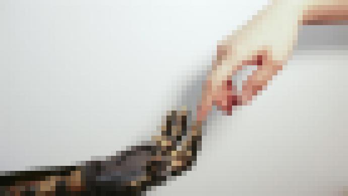 Photo Video: Umelá pokožka umožní robotom cítiť tvar, tvrdosť a textúru