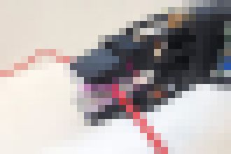 Photo Video: Roboty už zvládnu aj zapájanie káblov či viazanie uzlov