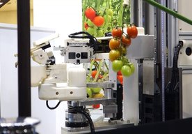 Photo Video: Futuristický robot vybavený umelou inteligenciou dokáže zberať iba zrelé ovocie a zeleninu