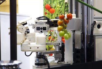Photo Video: Futuristický robot vybavený umelou inteligenciou dokáže zberať iba zrelé ovocie a zeleninu
