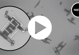 Photo Video: Mikroskopické roboty využívajú na pohon solárne články 