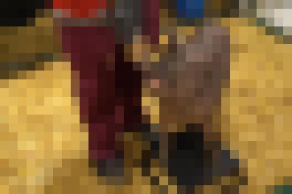 Photo Elon Musk predviedol zariadenia na prepojenie mozgu s umelou inteligenciou