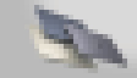 Photo Spoločnosť HP napĺňa svoj záväzok k trvalo udržateľnému rozvoju prvými spotrebiteľskými počítačmi vyrobenými z plastov