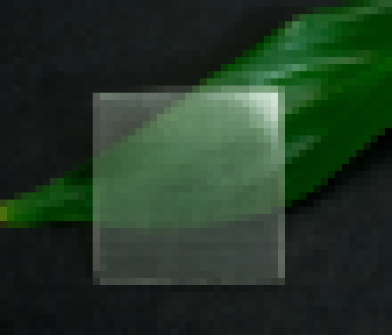 Photo Vedci vytvorili transparentné drevo. Je priehľadné ako sklo, ale pevnejšie a ľahšie