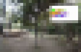 Photo Video: Roj dronov letí hustým lesom a dokáže udržať formáciu