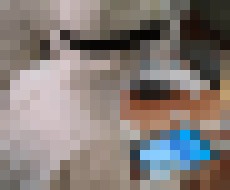 Photo Jedinečný systém manažovania a vyhodnocovania pravidiel pohybu osôb v súvislosti s ochorením COVID-19 TrustOne spustený