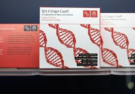 Photo Editovanie génov metódou CRISPR ponúka potenciál predĺženia života