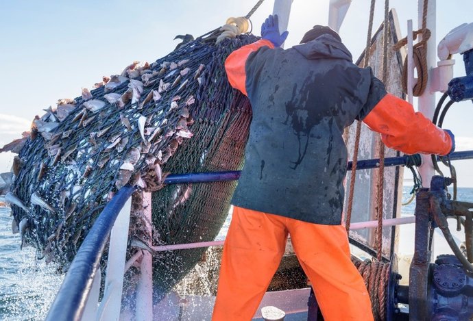 Photo Európsky projekt automatizuje spracovanie rýb