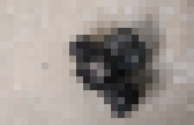 Photo Nová bezzrkadlovka Canon EOS M50 Mark II reaguje na aktuálny rozmach sociálnych sietí