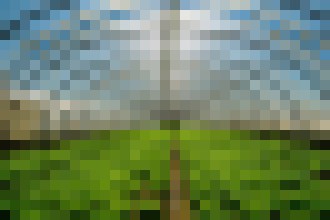 Photo Priehľadné solárne články na skleníkoch neokrádajú rastliny o svetlo