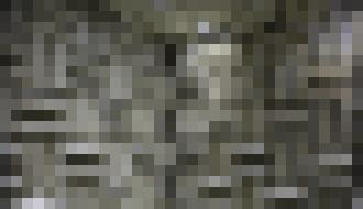 Photo V najtichšom miesto na Zemi by ste nevydržali ani hodinu