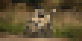 Photo Armáda chce vybaviť vojenské roboty živým svalovým tkanivom