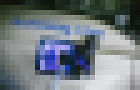 Photo Za posledných 5 rokov vzrástol záujem firiem o elektromobily viac ako 100-násobne