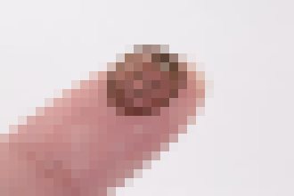 Photo Mozgový implantát umožňuje diaľkové riadenie sociálnych interakcií medzi myšami