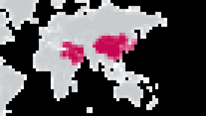 Photo ESET odhalil APT skupinu Gelsemium, kybernetickú špionáž cielila aj na vládne inštitúcie v Ázii  