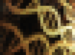 Photo Počítačové obvody na báze DNA môžu byť budúcnosťou medicíny