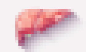 Photo Nová pečeň vyrobená na 3D tlačiarni? Možno už čoskoro