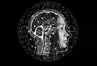 Photo Umelá inteligencia dokáže z EEG predpovedať vek mozgu