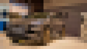 Photo Audi Q4 e-tron a Q4 Sportback e-tron v slovenskej premiére