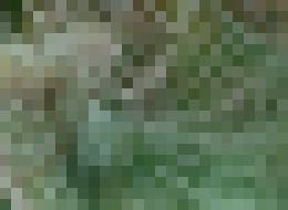 Photo Umelý hodváb pevnejší ako oceľ či kevlar