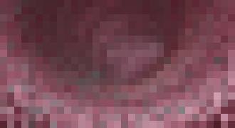 Photo Stav našich čriev má vplyv na kvalitu zdravia a starnutie