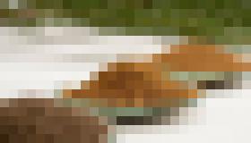 Photo Batérie vyrobené zo stromov by mohli zmeniť budúcnosť elektrickej dopravy