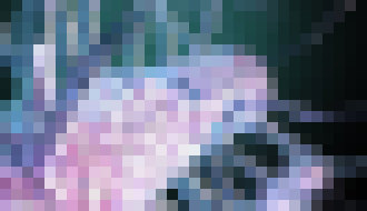 Photo Budú raz elektroniku napájať baktérie, ktoré vydychujú elektrinu?