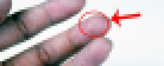 Photo Mikročip s krídlami veľký ako zrnko piesku. Príležitosť alebo hrozba?
