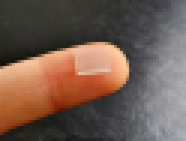 Photo Malá „očkovacia náplasť“ vyvoláva silnejšiu imunitnú odpoveď ako injekcia