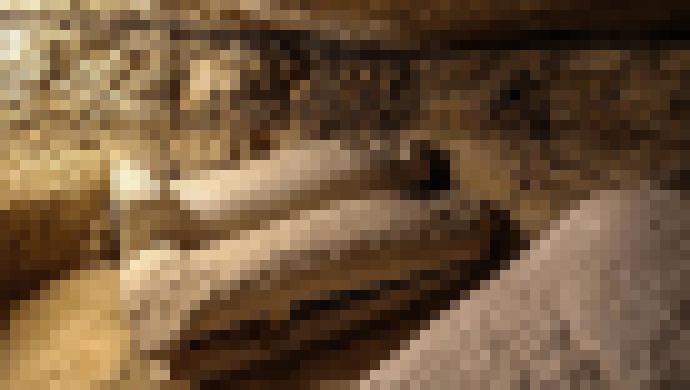 Photo Tváre starovekých Egypťanov boli oživené pomocou 2000-ročnej DNA