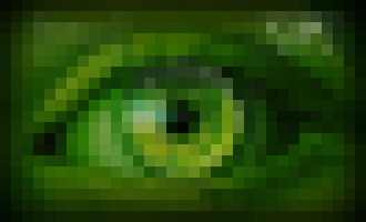 Photo Vírusový radar / Dvaja vtáci, rôzne špionážne  záujmy. Jeden nepozvaný hosť v hoteli, druhý nepozvaný  hosť v smartfóne