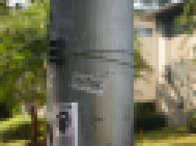 Photo Mesh siete pre občianskych aktivistov a výpadky siete telekom operátorov