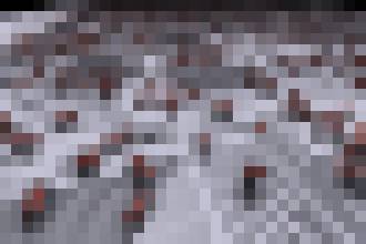 Photo Virtuálne prekážkové dráhy učia chodiť robotov aj na klzkom alebo ťažkom povrchu